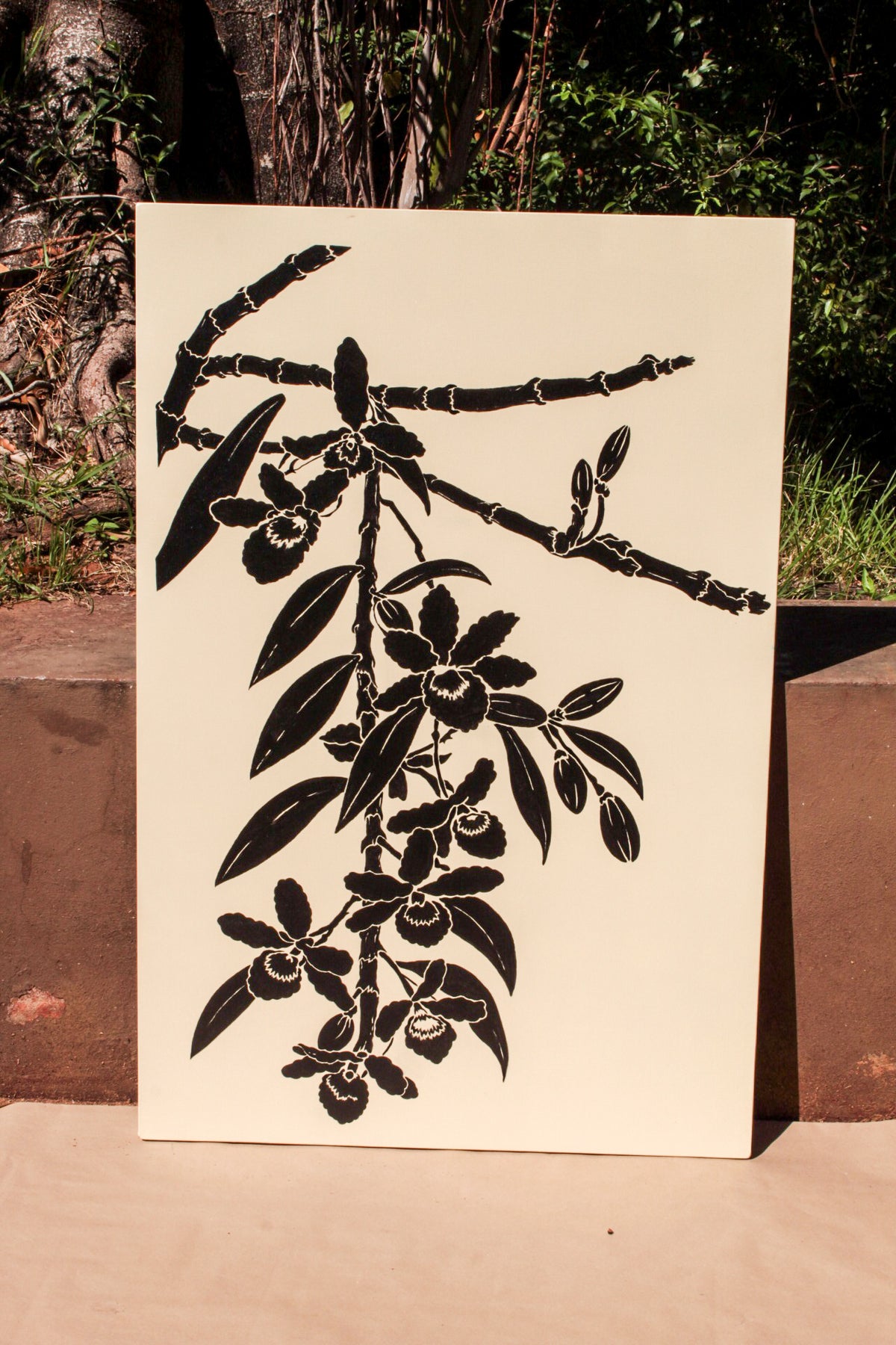 Orquídea silvestre II